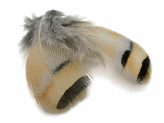 Wapsi Chukar Feathers